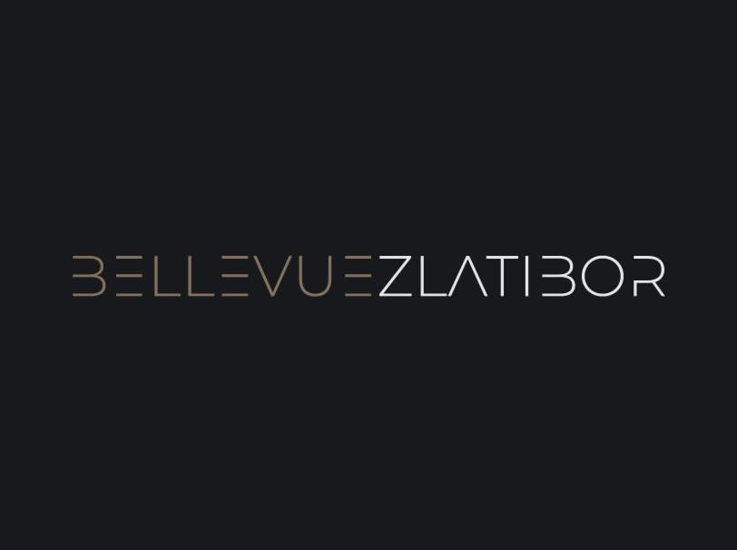 Apartment Bellevue *